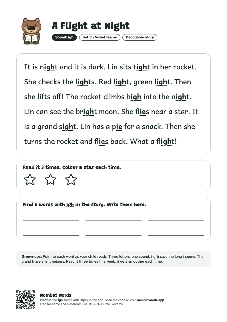 A Flight at Night: igh decodable story printable