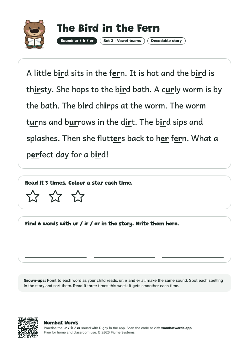 The Bird in the Fern: ur / ir / er decodable story printable